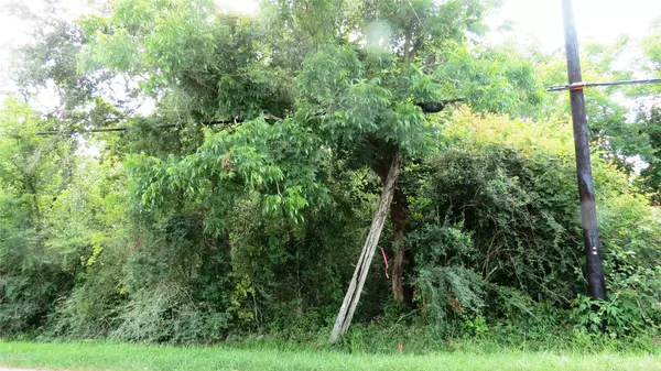 Santa Fe, TX 77517,0 Birch ST