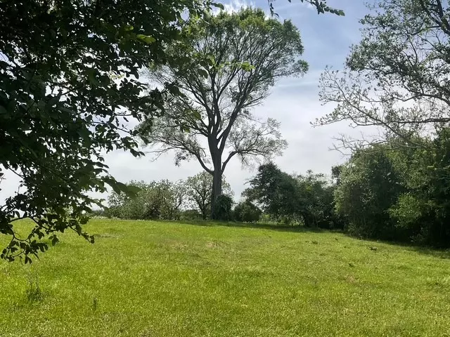 00 Riverside Plantation LN, Chappell Hill, TX 77426