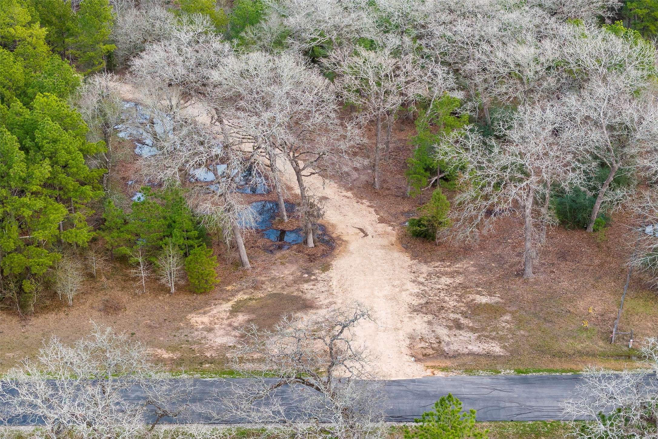 Hockley, TX 77447,26350 Hunters Ridge RD