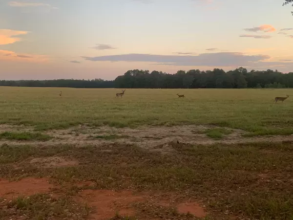 Hillister, TX 77624,0 Lakeland Dr