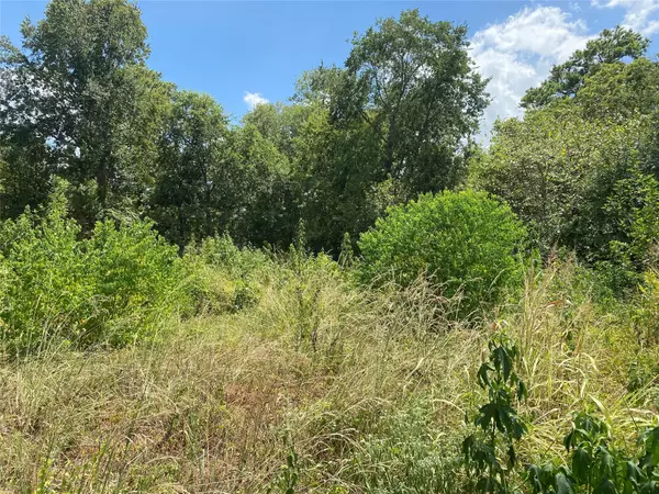 Conroe, TX 77301,849 Webb ST