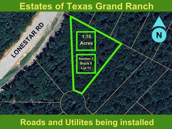 124 Eden CT, New Waverly, TX 77358