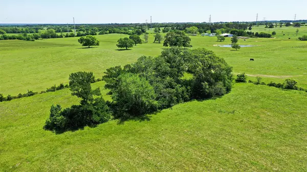 Anderson, TX 77830,Lot 8 Anderson Ridge
