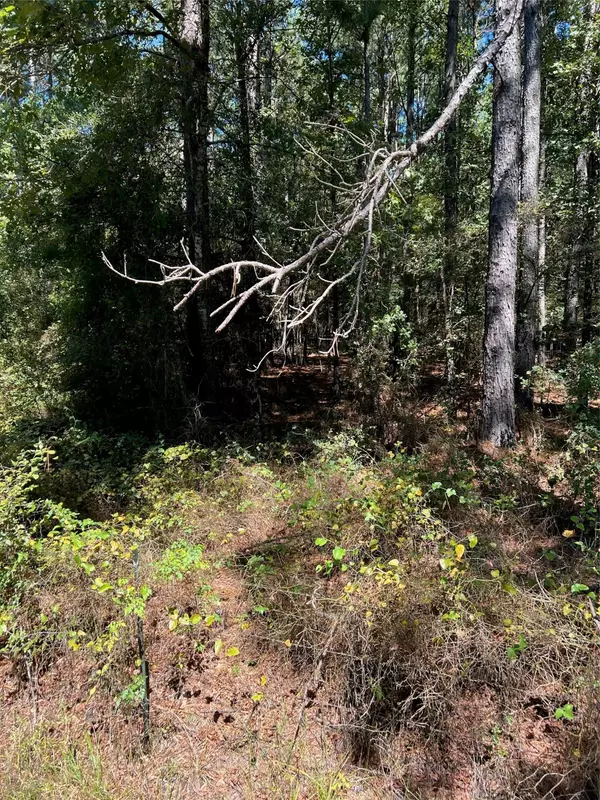 Marshall, TX 75672,000 000 EDDINGTON ROAD