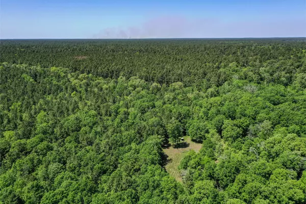 Pennington, TX 75856,79.3 Acres Reese Rd