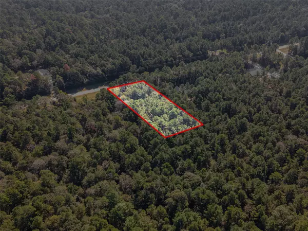 Huntsville, TX 77340,185 Rim Rock RD