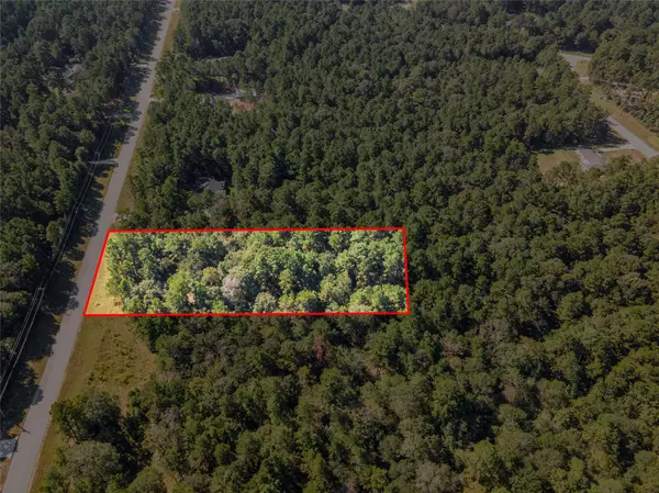 Huntsville, TX 77340,185 Rim Rock RD