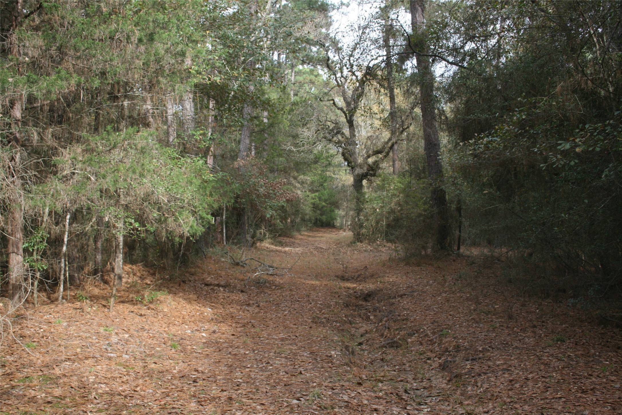 9000 N County Road 355, Plantersville, TX 77363