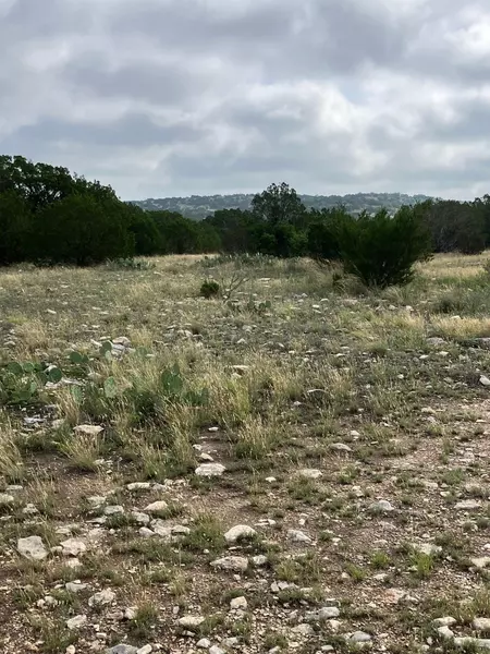 0 SD 45500, Rocksprings, TX 78880