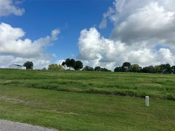 Chappell Hill, TX 77426,10549 Sunny Meadow DR