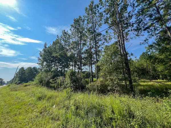 Warren, TX 77664,2 County Road 1325