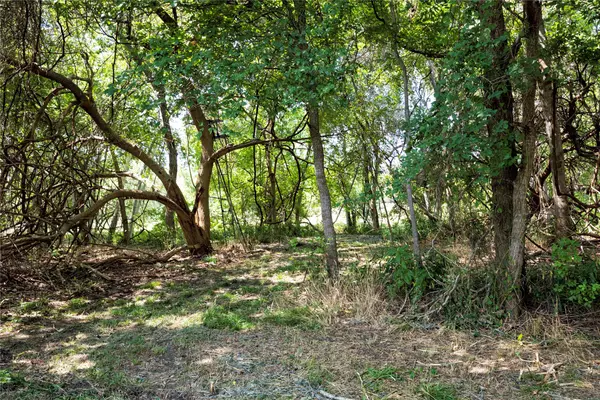 Hallettsville, TX 77964,710 County Road 211a
