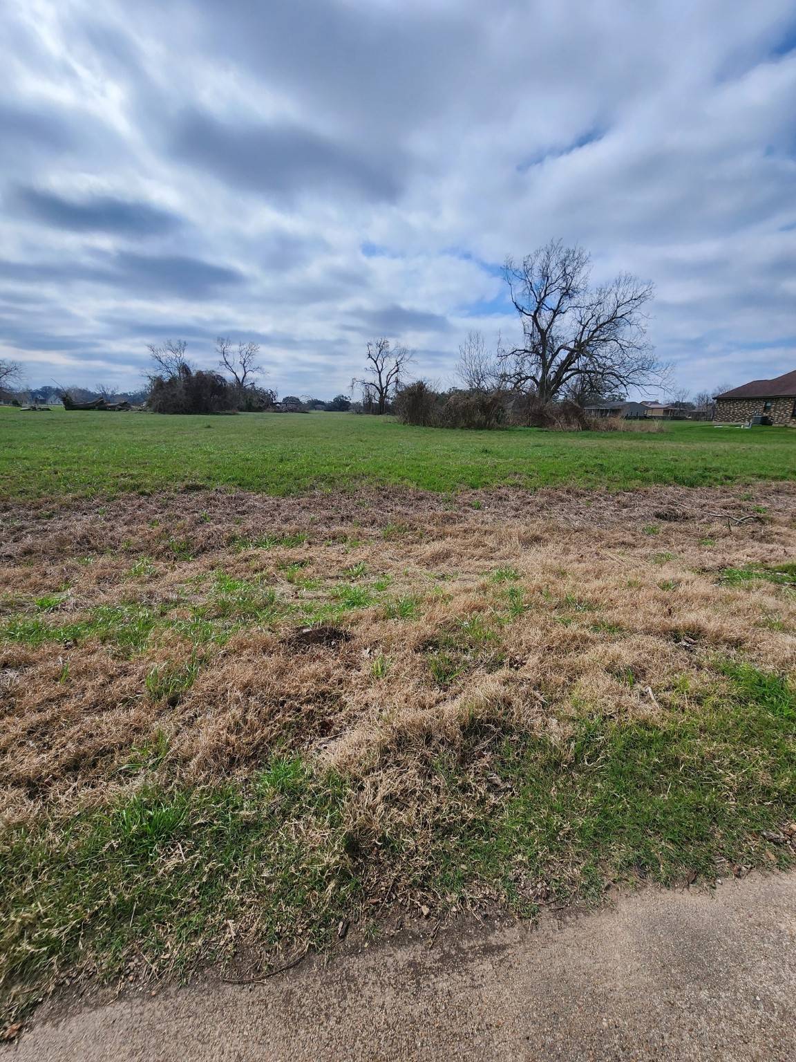1549 Quarter Horse TRL, Angleton, TX 77515