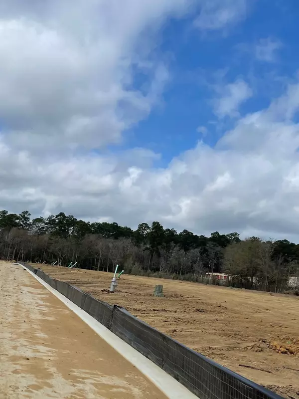 Willis, TX 77318,11691 Ruffian DR