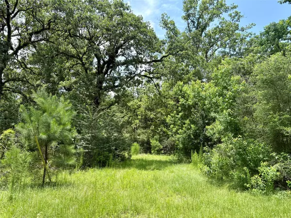 Livingston, TX 77351,352 Tom Cummings RD