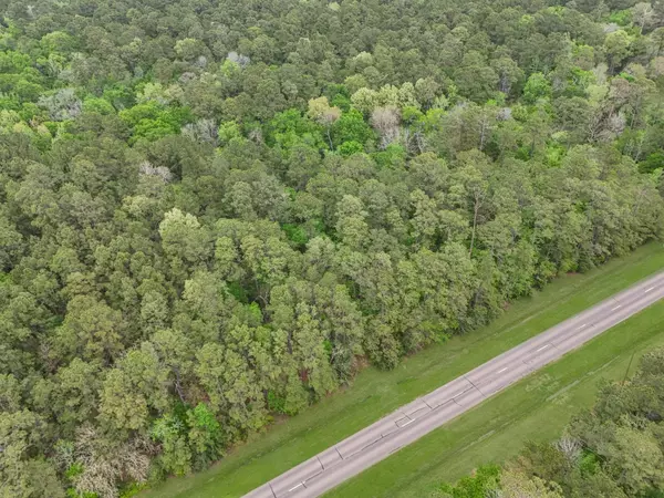 Anahuac, TX 77514,Lot 1 Fm-2041