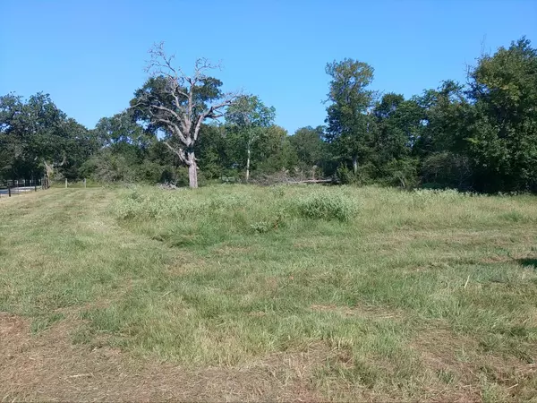 Hempstead, TX 77445,tbd Qualls RD