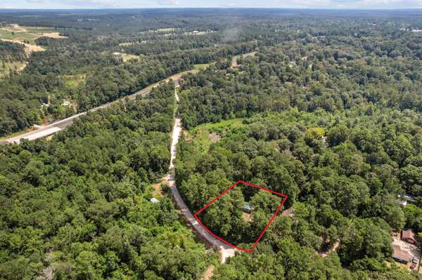 105 Parklane DR, Livingston, TX 77351