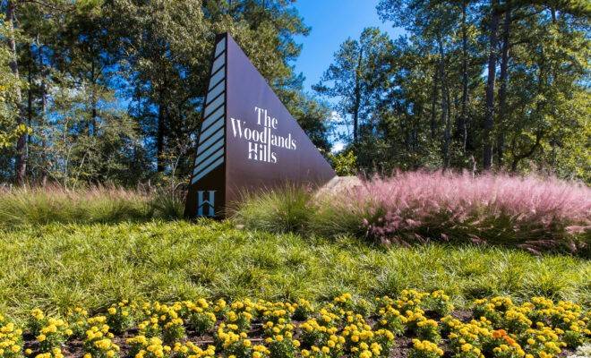 Conroe, TX 77318,207 Mulberry Woods CT