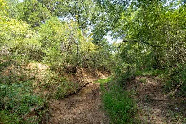 Caldwell, TX 77836,0 TX-36
