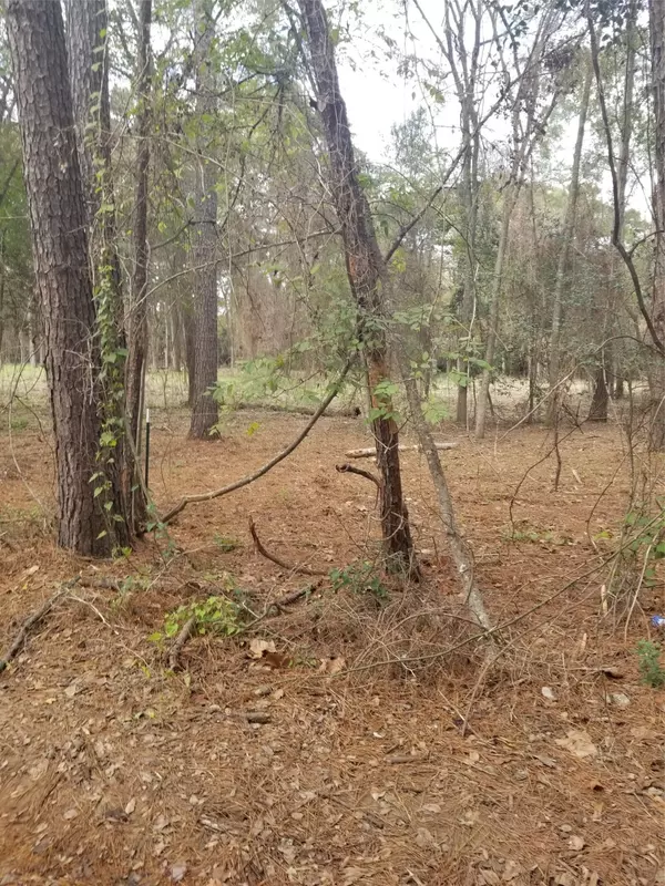 Plantersville, TX 77363,11253 Greenway DR