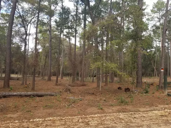 Plantersville, TX 77363,11253 Greenway DR