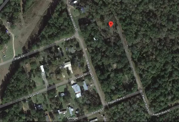 Shepherd, TX 77371,0 Pepper Patch st