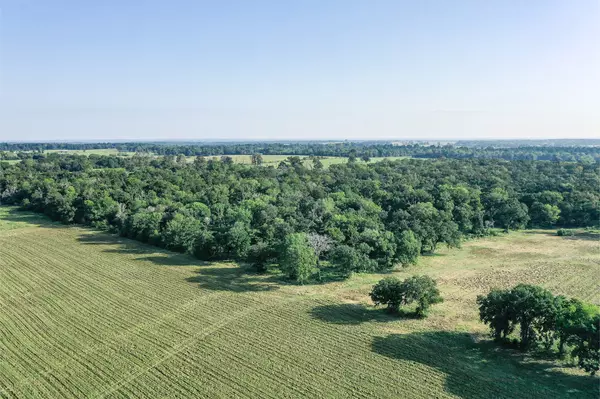 Crockett, TX 75835,65 Acres FM 2967