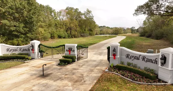 Montgomery, TX 77316,5.3 AC tbd Spring Branch Rd