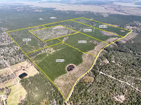 00 County Rd 4415, Spurger, TX 77660