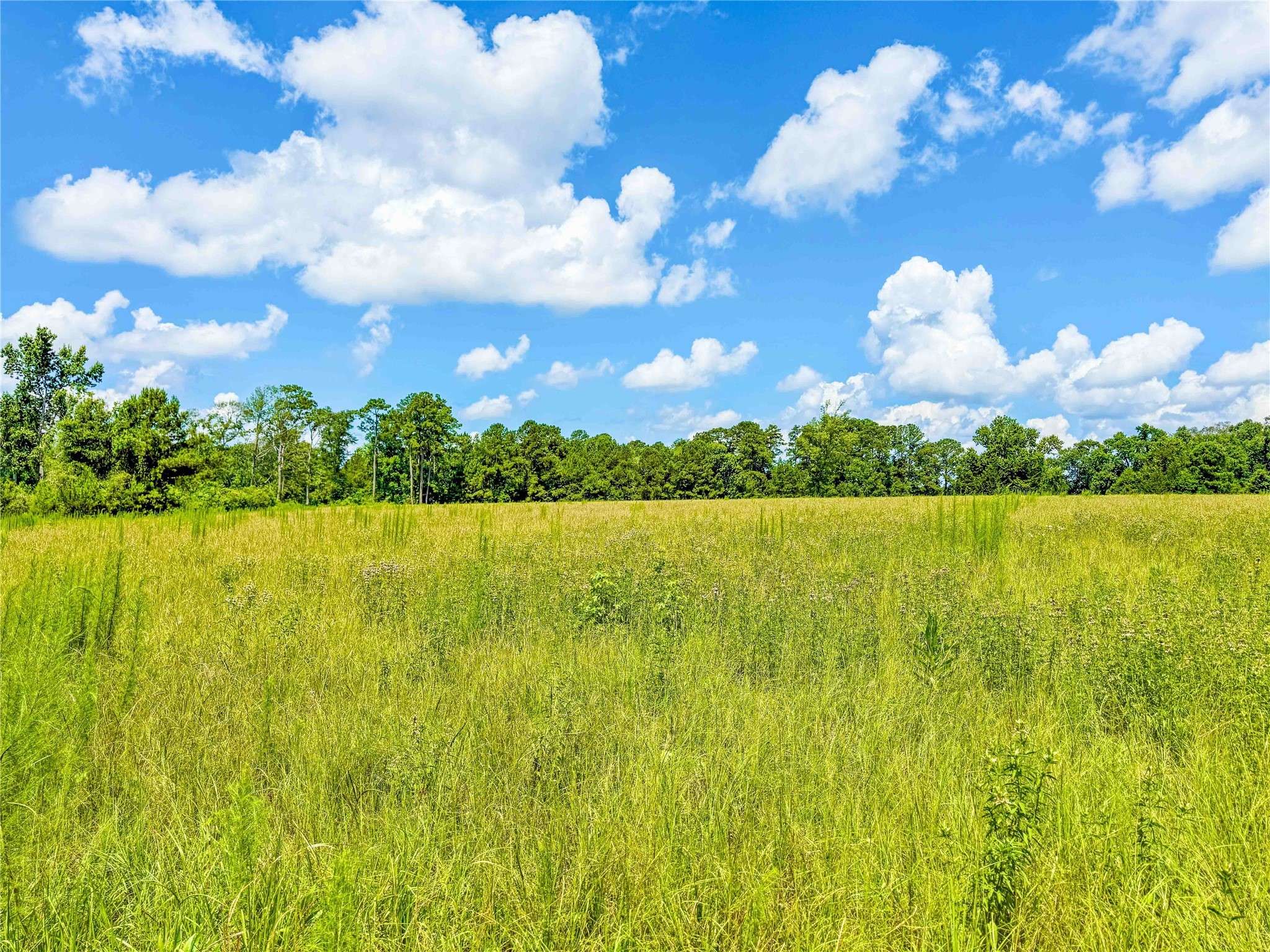 Jasper, TX 75951,398 County Road 172