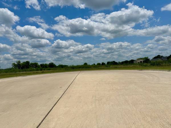 Navasota, TX 77868,Lot 48 Back Nine Lane LN