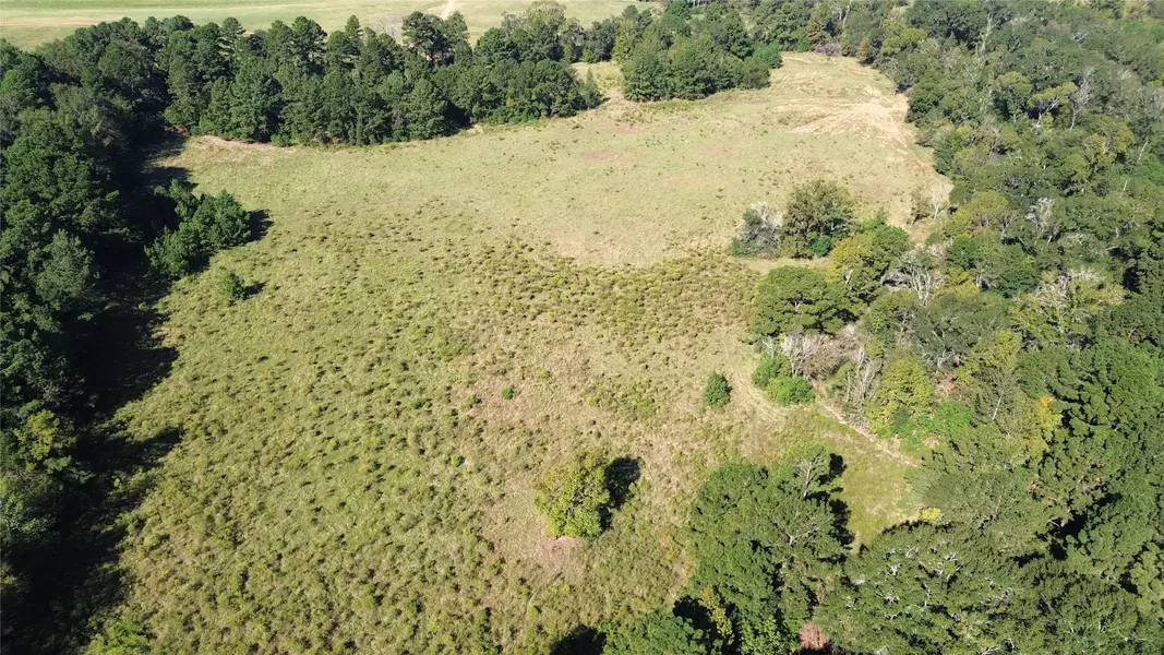 TBD CR 2120, Crockett, TX 75835