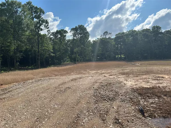 Willis, TX 77378,11369 Annie Creek Drive