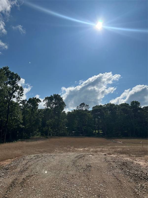 11369 Annie Creek Drive, Willis, TX 77378
