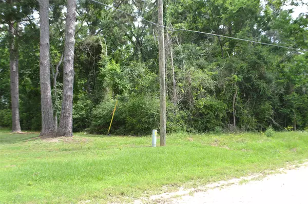 0 Onalaska East DR, Onalaska, TX 77360