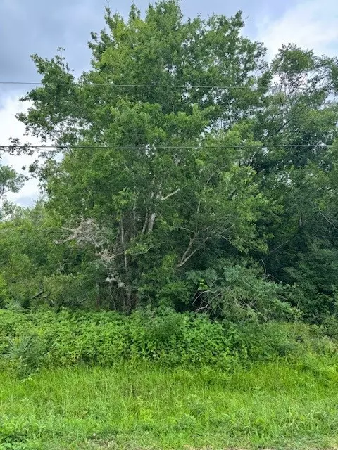 West Columbia, TX 77486,0 m