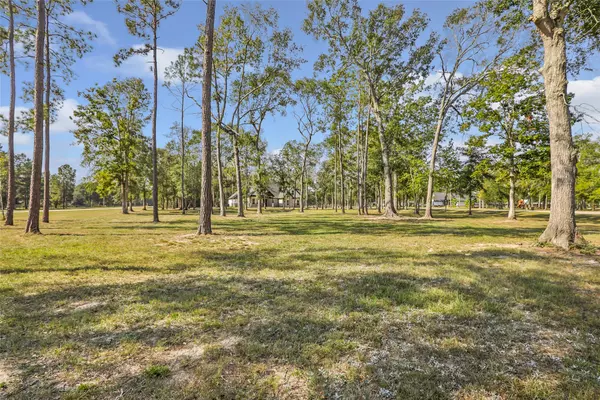 Cleveland, TX 77328,21121 Grant Lake CIR