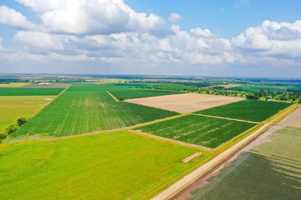 Beasley, TX 77417,0000 Koym RD