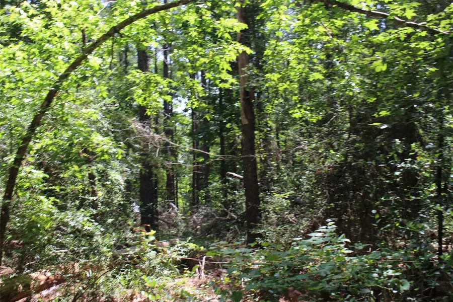 000 Private Road 6050, Crockett, TX 75835