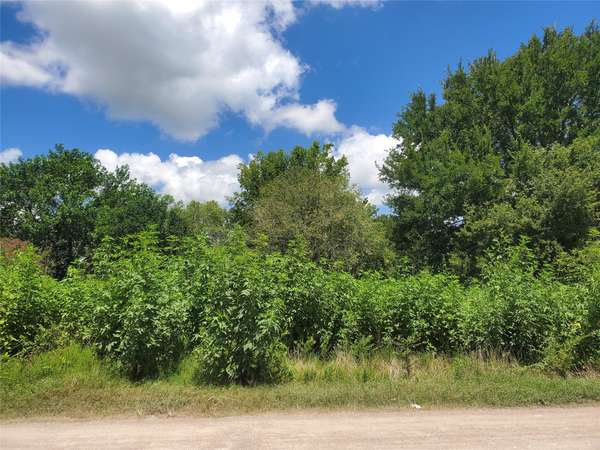 2577 Foots Wilson RD, Pattison, TX 77423