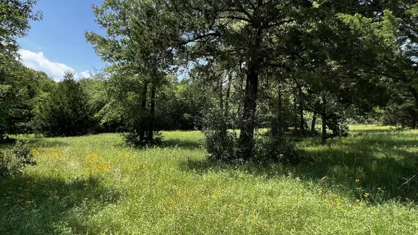 Anderson, TX 77830,0010 FM 3090