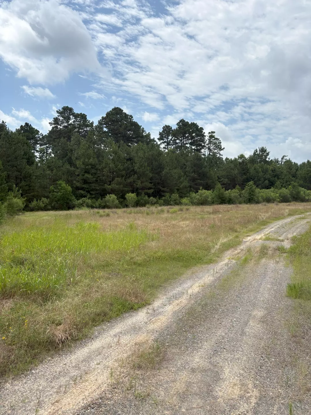 Tenaha, TX 75974,TBD County Road 425