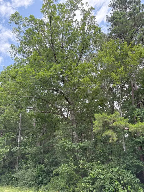 Tenaha, TX 75974,TBD County Road 425