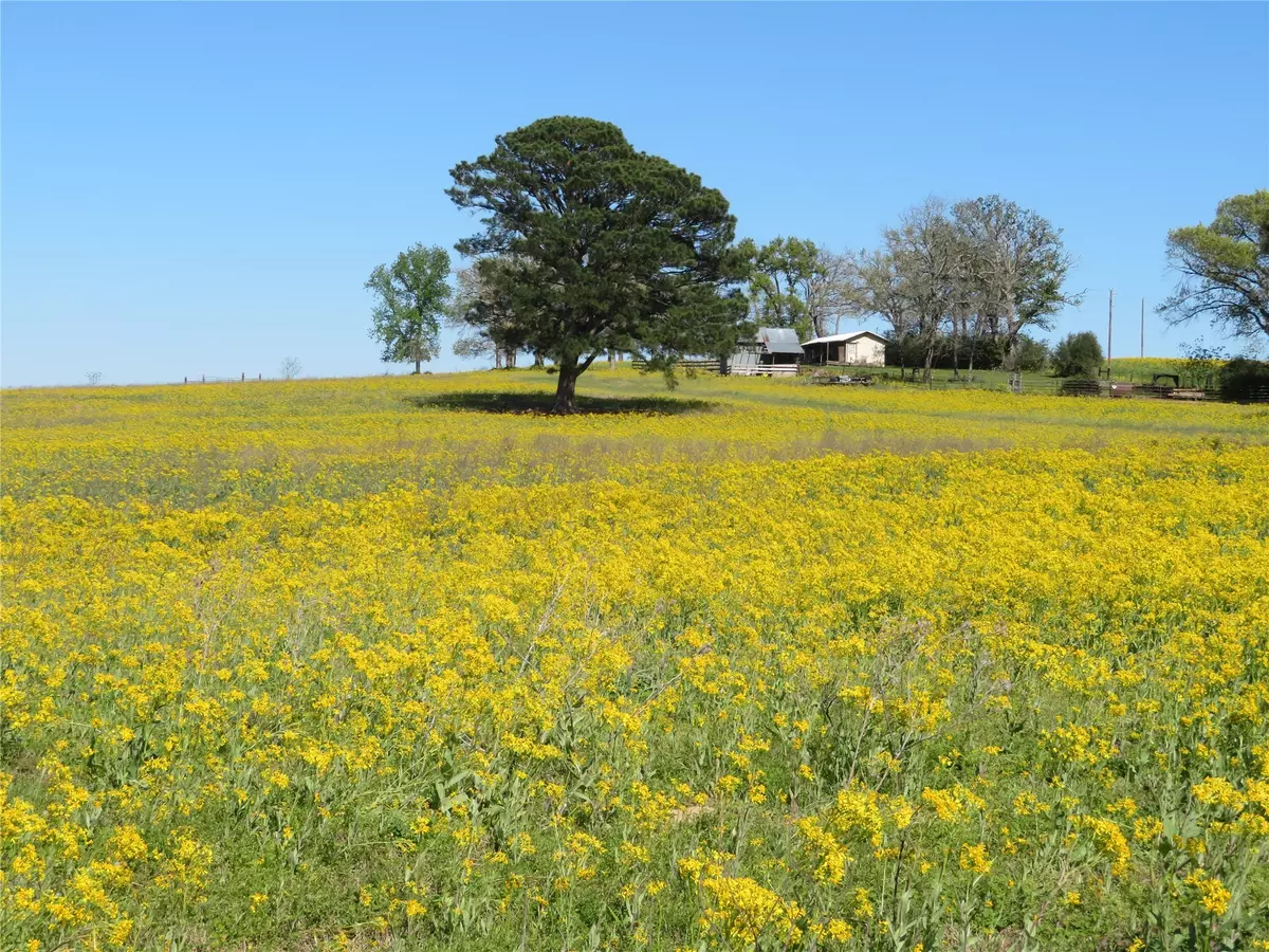 Oakwood, TX 75855,14590 CR 236