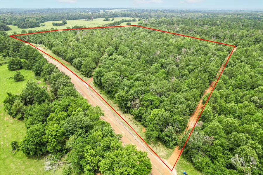 0000 FM 2544 Tract 2, Grapeland, TX 75844