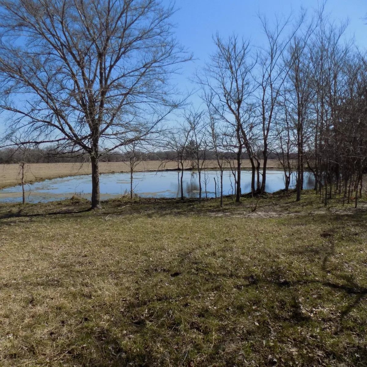 Bedias, TX 77831,TBD FM 39 Tract 3