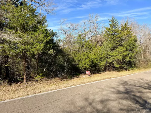 Hilltop Lakes, TX 77871,TBD Post Oak DR