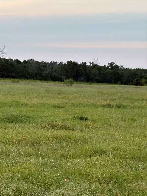 Bremond, TX 76629,0000 Fm-2293