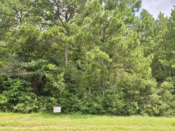 Montgomery, TX 77316,12748 Winding Trail